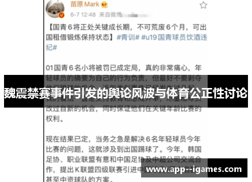 魏震禁赛事件引发的舆论风波与体育公正性讨论